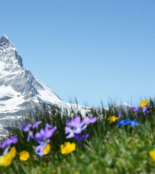 南昌市興贛科技實(shí)業(yè)有限公司